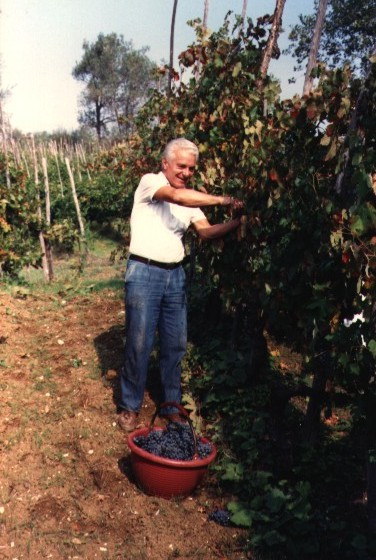 La raccolta del'uva (lo zio Egidio)