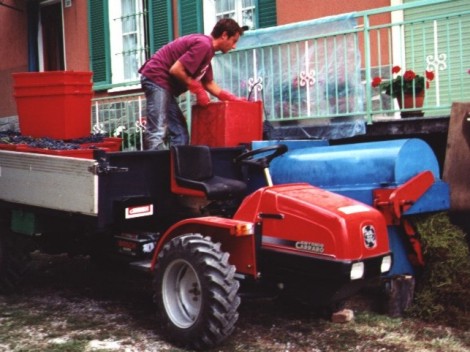Lorenzo e la pigiatura