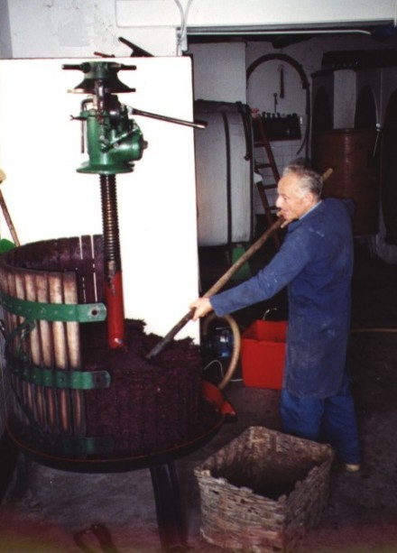 Dario in cantina "scarica" il torchio