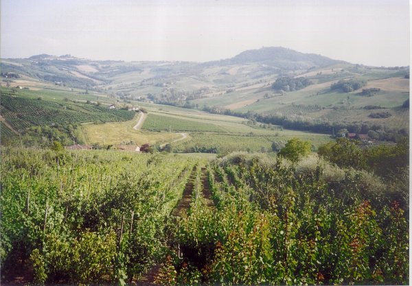 La vallata